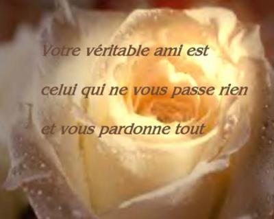image de l amitier